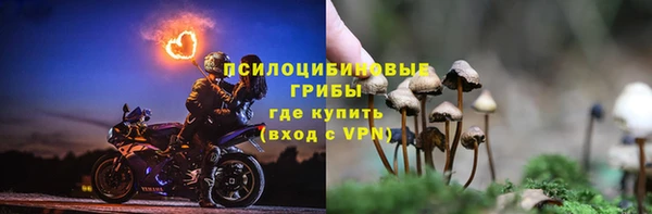 сатива Наволоки