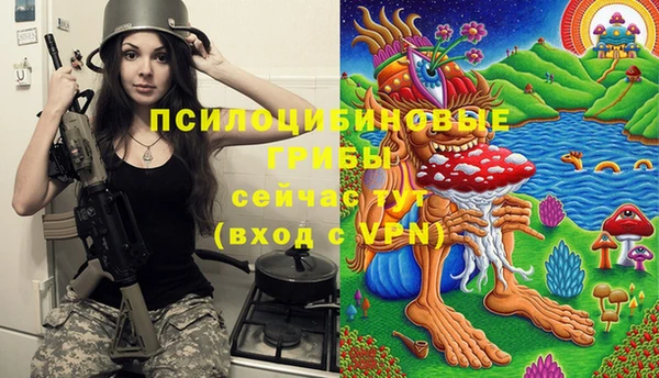 трава Армянск