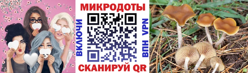 Псилоцибиновые грибы мухоморы Покачи