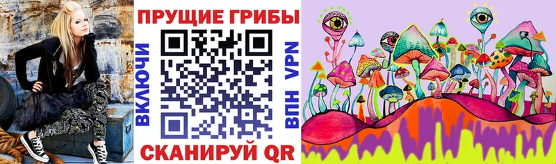 Галлюциногенные грибы MAGIC MUSHROOMS Покачи