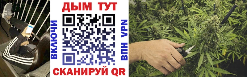 купить наркотик  Покачи  кракен как войти  Каннабис гибрид 